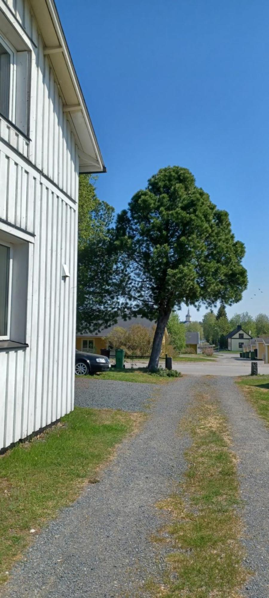 Vita Villan Haparanda  Buitenkant foto